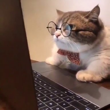 TweetLife2526's profile picture. This is where I might tweet my life but mostly I just want to keep up-to-date on stuff. Nothing wrong with having privacy.