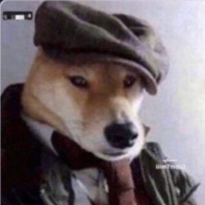 AhmedRa547881's profile picture. peace No violence Love