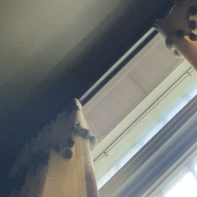 fukun_3's profile picture. 