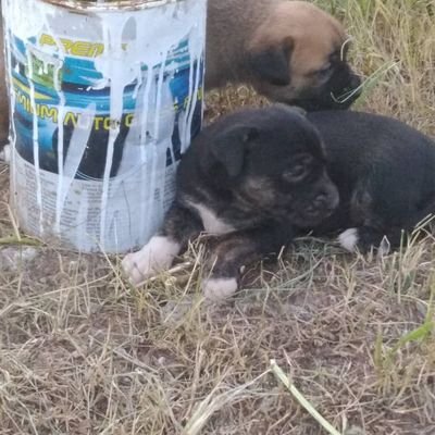 Limbo67178's profile picture. 