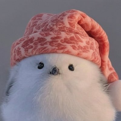 NEVERDIEBAEB's profile picture. 인생은 고기서 고기.