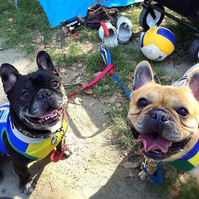 dFczOrOvuZ10634's profile picture. 