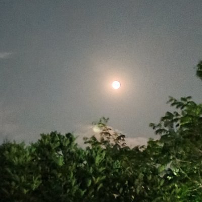 0_xrules's profile picture. Damn