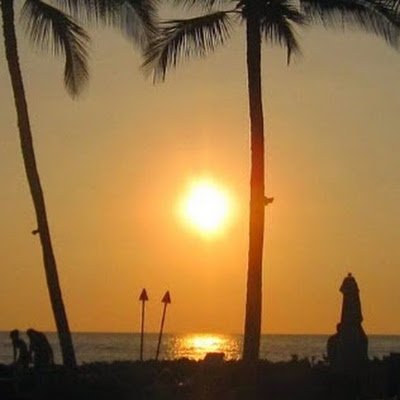 oksijen81877's profile picture. 