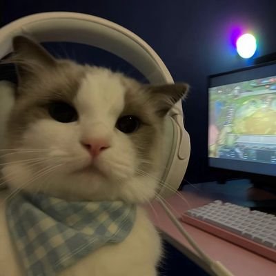 definetlynotcy's profile picture. 