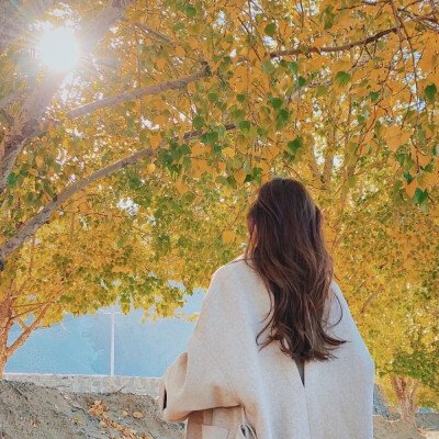 AntonioGri27768's profile picture. 