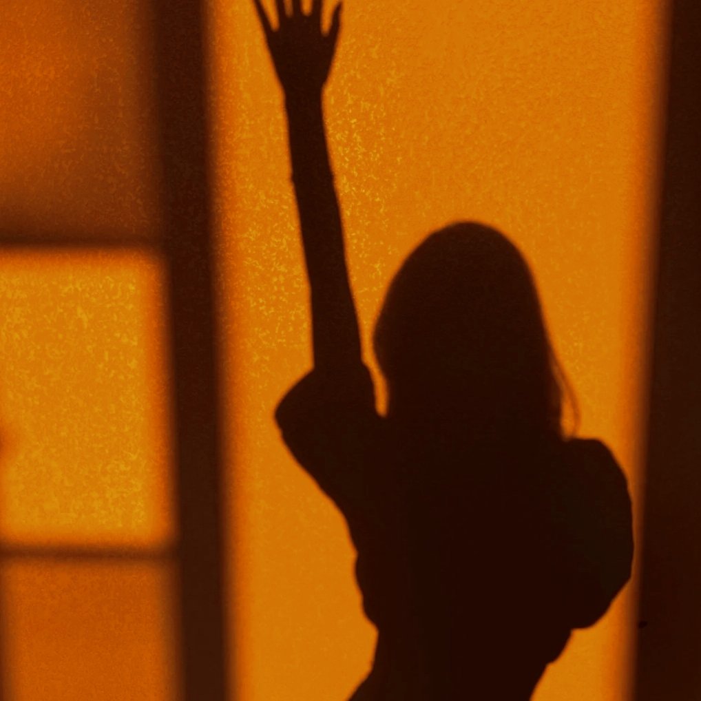 BMccrady54922's profile picture. 