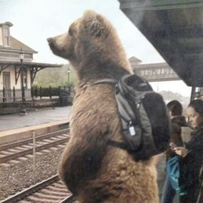 CPedr0ne's profile picture. 💤🧩👨‍💻
Um entre muitos outros estudantes de programação. 

-

🎓 Graduando em ADS.