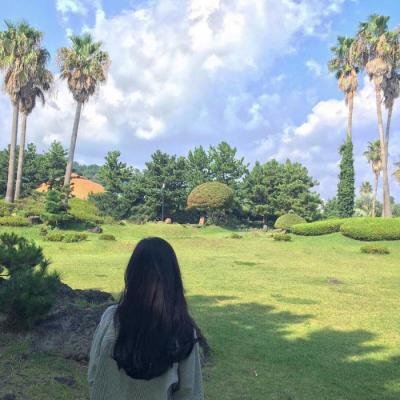 DootsonEld6233's profile picture. 