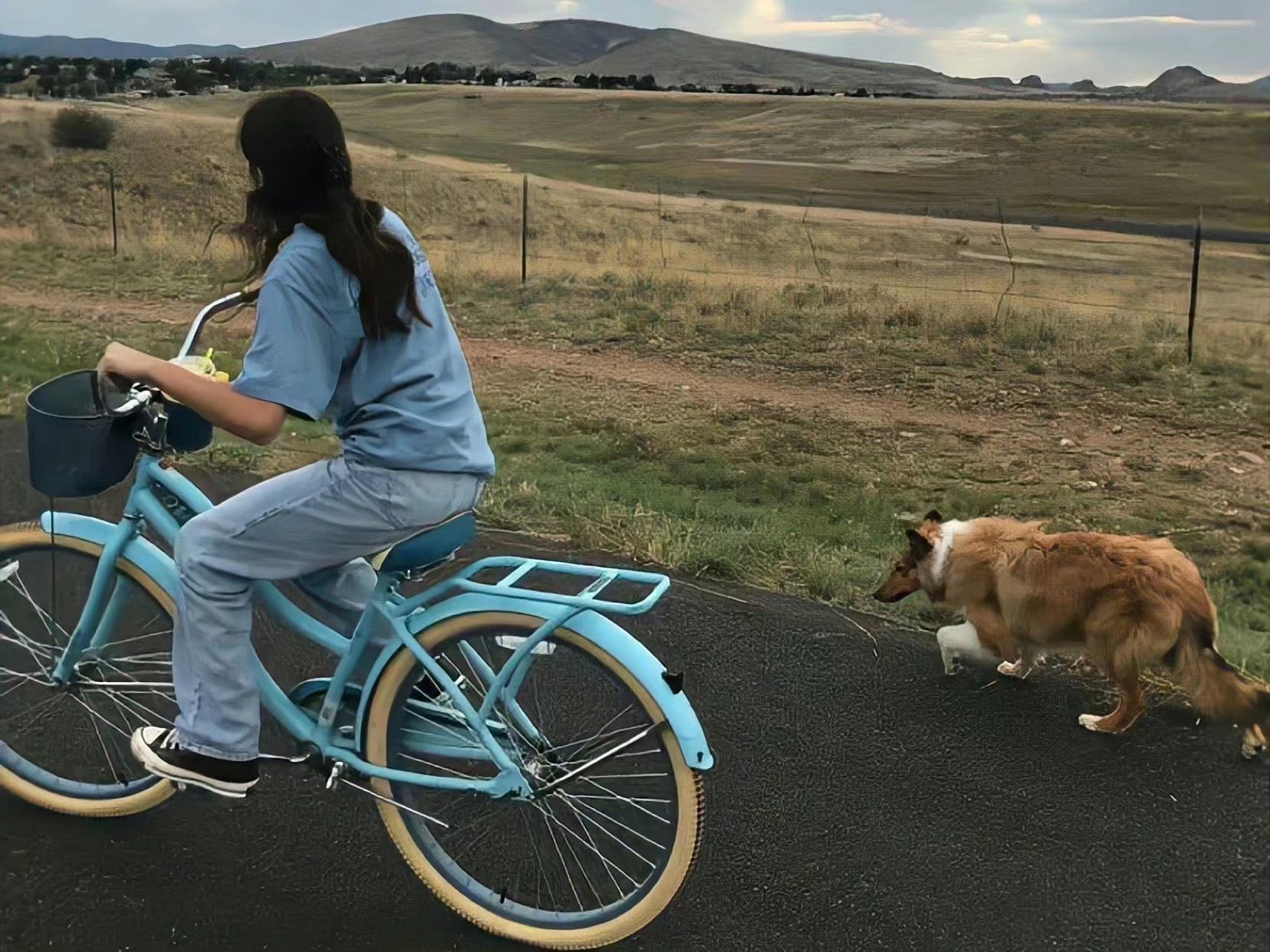 CicelyP74583's profile picture. 