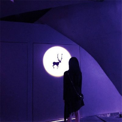 CordieF54971's profile picture. 