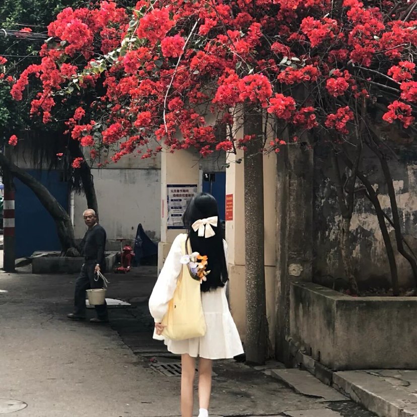 ClorindaBe48096's profile picture. 