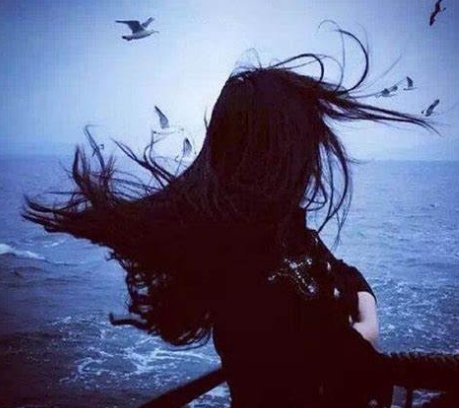 HCaplin17969's profile picture. 