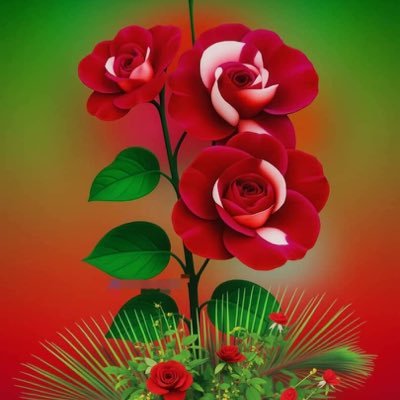 A35667Nqyb's profile picture. 