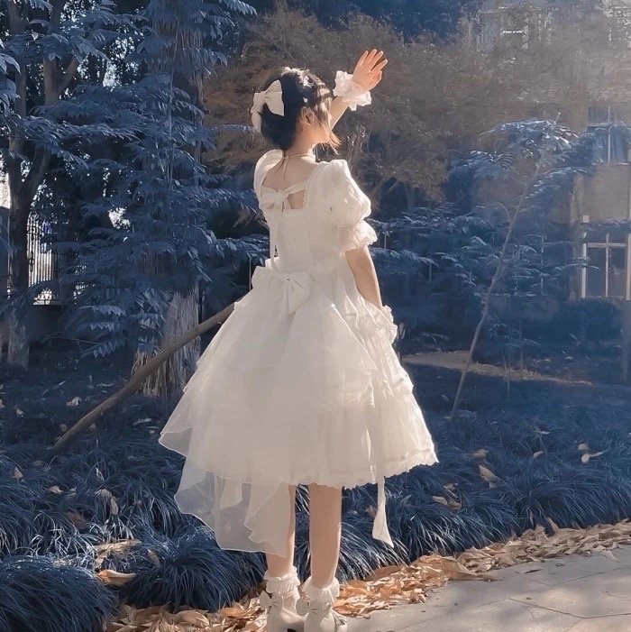 GMenchavez64241's profile picture. 