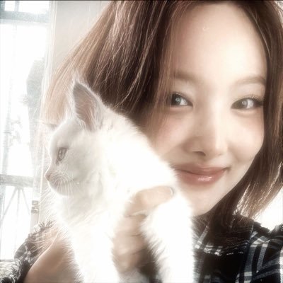 Niniarise's profile picture. In my twenties 📖 🦄🐹🐶