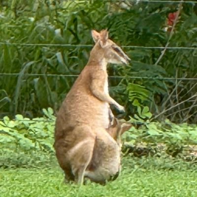 ng5961's profile picture. 