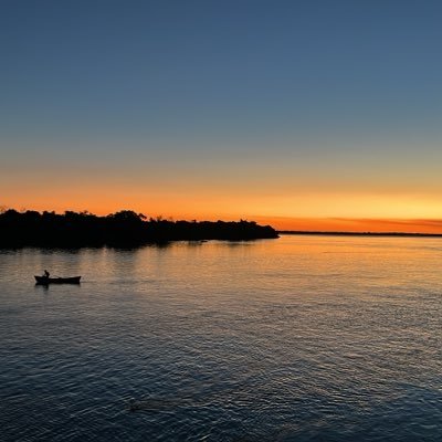 wilianHart's profile picture. 