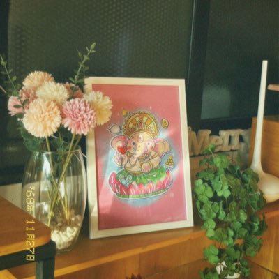 nnatcha117145's profile picture. 