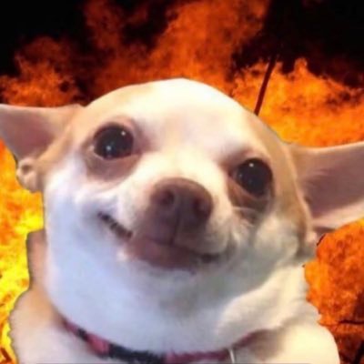 24bruvv's profile picture. keeping everyone in the know with tech & ai @24briefs