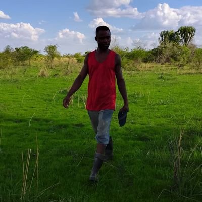 CEzennaji's profile picture. Actor ,Poacher,
Wildlife Protector,wood hacker,tree planter.

https://t.co/a5LxWjyopN