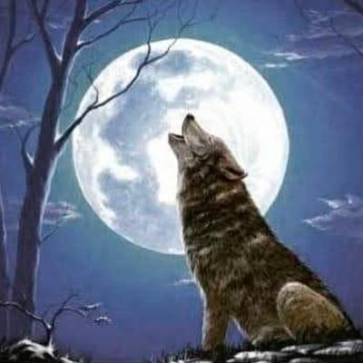 redmanx7979's profile picture. 