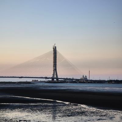 MartinC0316's profile picture. 