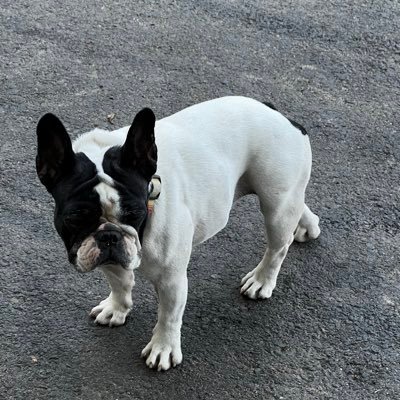 Lucas_VuNguyen's profile picture. 