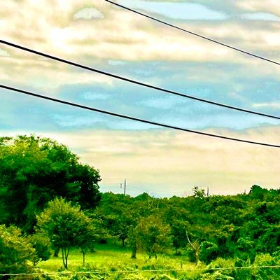 slowzxerfn's profile picture. フォートナイトで最近競技始めました