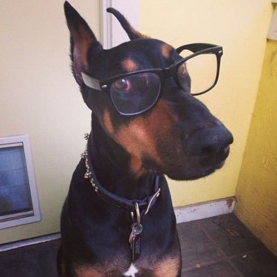 lalotuxedo's profile picture. cartel yaoi oomf. the nooticer