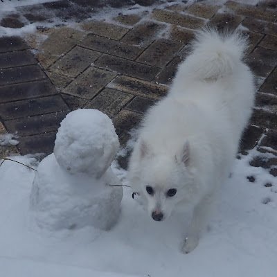 HunBot34908's profile picture. 