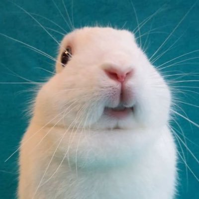 himduneyo's profile picture. .... 그것들을 냠냠소맨의 힘으로 모두 없앨 겁니다