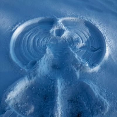 swenfay's profile picture. 