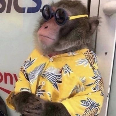 lechaosmonkey's profile picture. chaos monkey