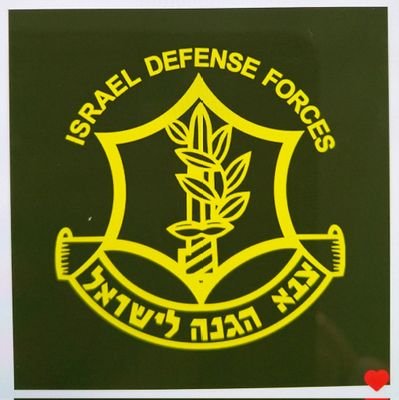 EstiIsakov38190's profile picture. Israel Defense Forces ⚔️ Proudly Jewish 🔯
The Israeli side of things 🇮🇱