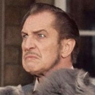 qui_oui's profile picture. Education, politics, communication. Writer and reader.