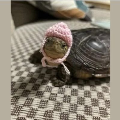 mywomaz's profile picture. Free Palestine //
🩺