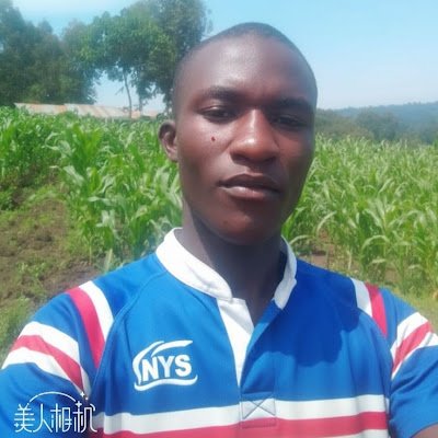 Afandealex117's profile picture. 