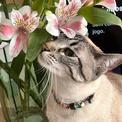 lilolalia99's profile picture. nyari temen buat keliling bandoeng cari hidden gem