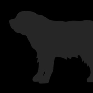 norisio987654's profile picture. 自己肯定感を上げ目指す
ギター引けるようになりたい　チャッピーよりgemini派