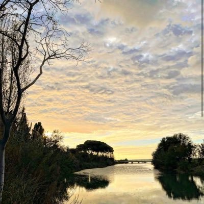 MartinezJRll's profile picture. 