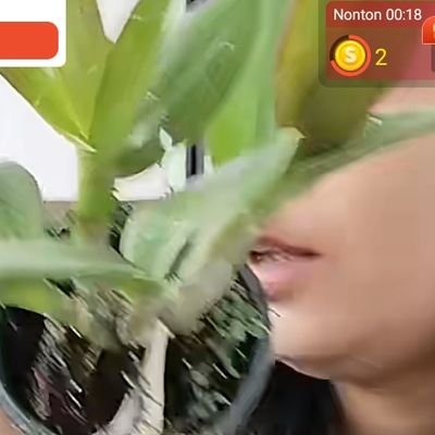 BohayCium16821's profile picture. fb lagi gan