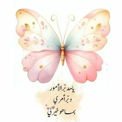 3h6KRwim1B46bke's profile picture. 