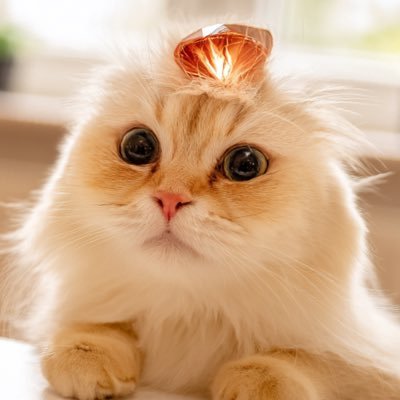 tadebruce's profile picture. 国企外贸业务经理，蚂蚁金融服务商; 组织线上英语角; 平面设计师&AI视频商用学习中; 游历20多国家，商务英语&基础法语; 在x上，吐槽一切！