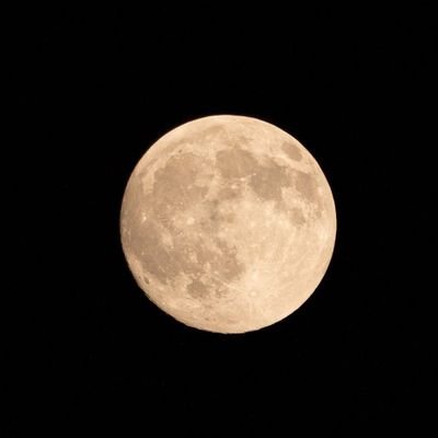 Umi18607858's profile picture. スキンケア・神社参拝等が好き
【ラブライブ】南ことりちゃん、シーサーちゃん推しのお兄さんです。