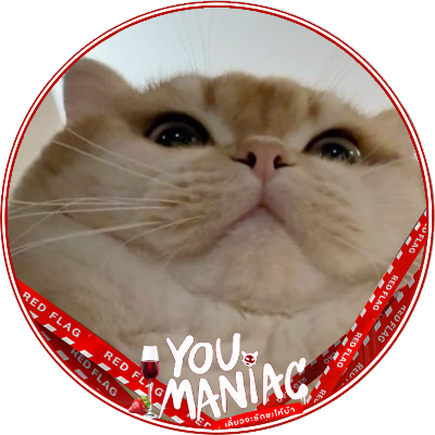 𝓚𝓑 ◡̈⋆* Profile