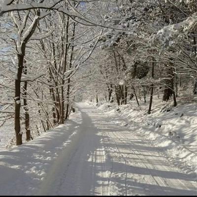 JayB7897's profile picture. Weather Enthusiast, 
Love watching and coaching sports