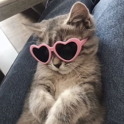 favs001_'s profile picture. starting something new.