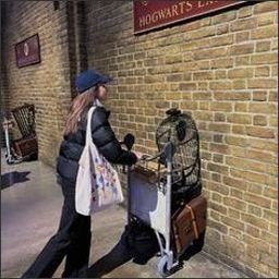 lorwm81468's profile picture. She believed she could, so she did.