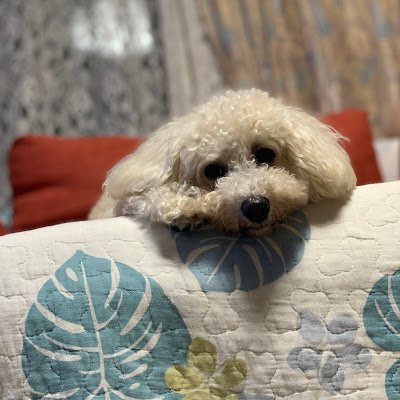 MisakiM1098452's profile picture. 